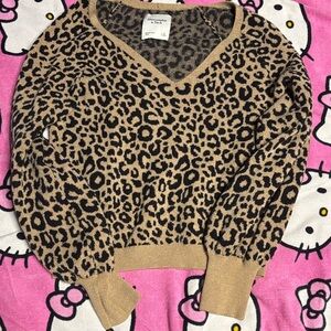 Abercrombie and Fitch Leopard Print V-Neck Sweater
